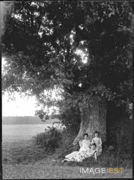 Trois femmes au pied d'un arbre (Bouxières-aux-Chênes)